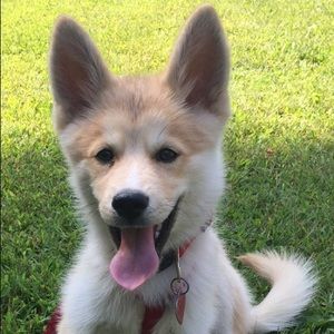 Meet your Posher, Gabrielle